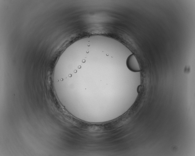 X0000112090549200908041050
