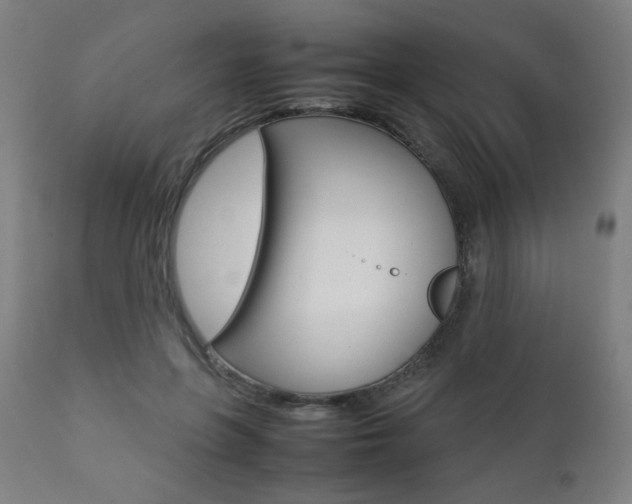 X0000112090551200908041050
