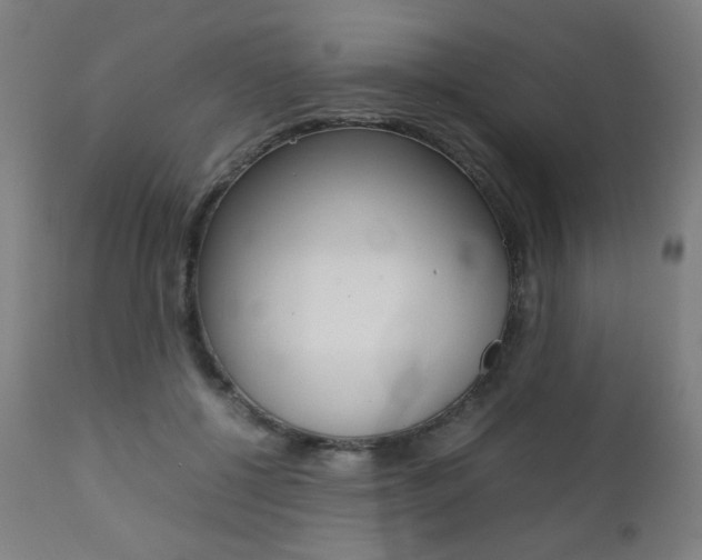 X0000112090552200908041050