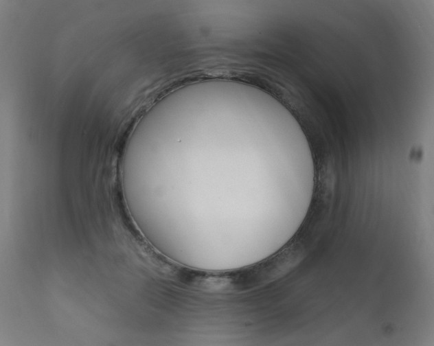 X0000112090554200908041050