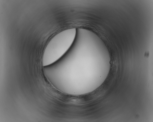 X0000112090555200908041051