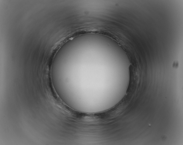 X0000112090556200908041051
