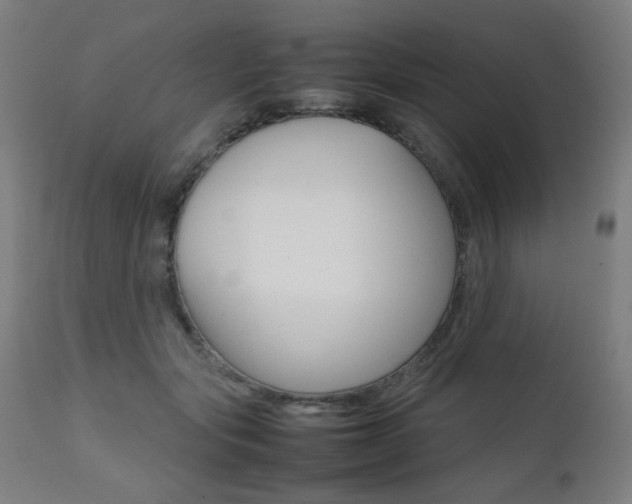 X0000112090557200908041051
