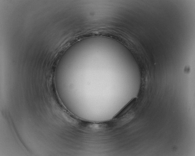 X0000112090558200908041051