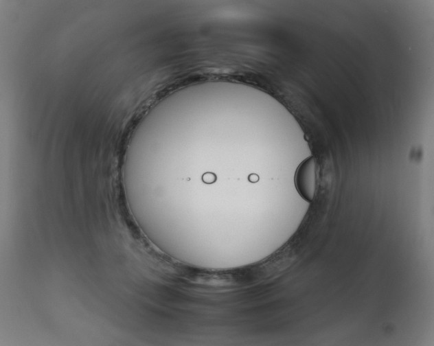 X0000112090559200908041051
