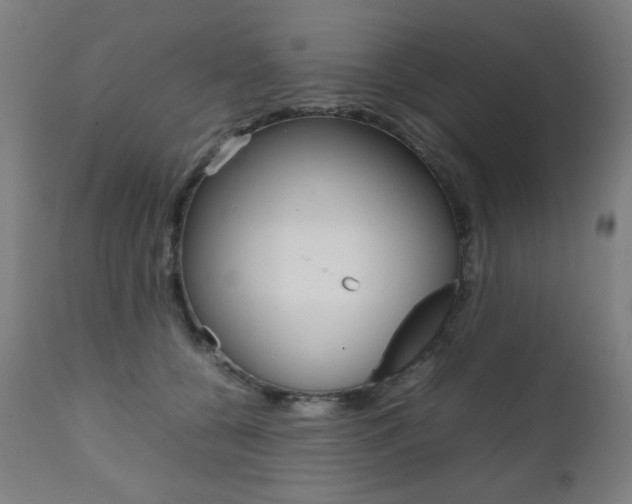 X0000112090560200908041051