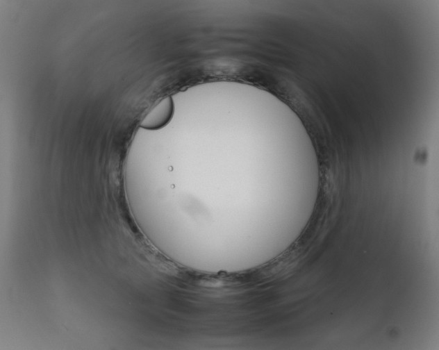 X0000112090561200908041051