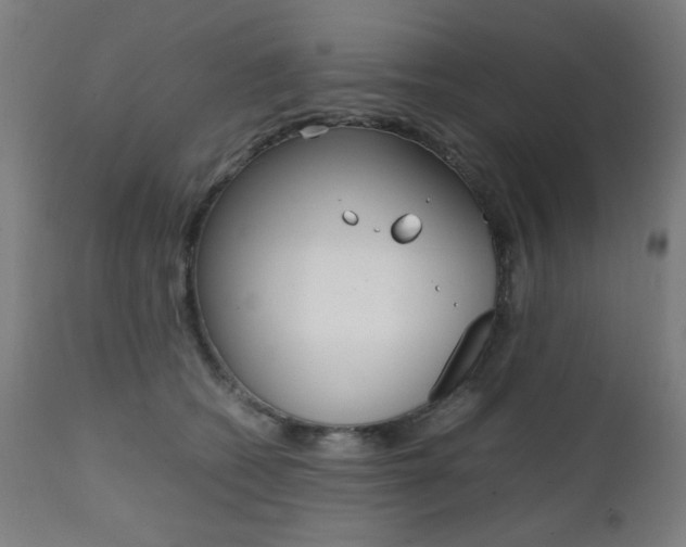 X0000112090562200908041051