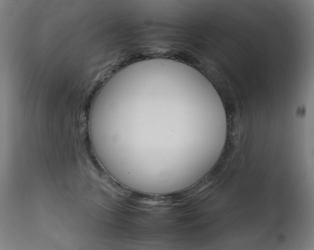X0000112090563200908041051