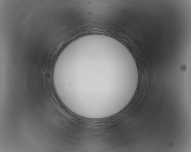 X0000112090564200908041051