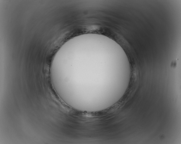 X0000112090565200908041051