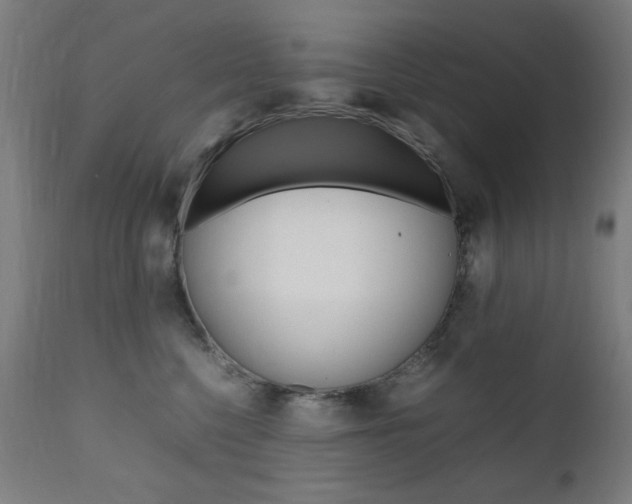 X0000112090568200908041051