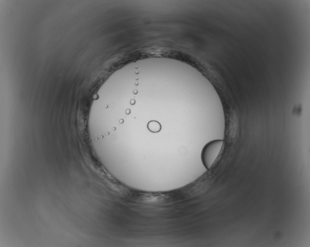 X0000112090569200908041051