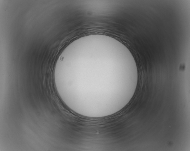 X0000112090570200908041051