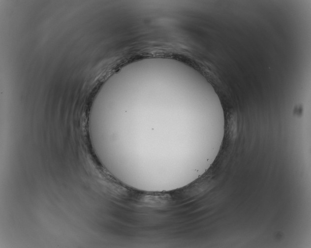 X0000112090571200908041051
