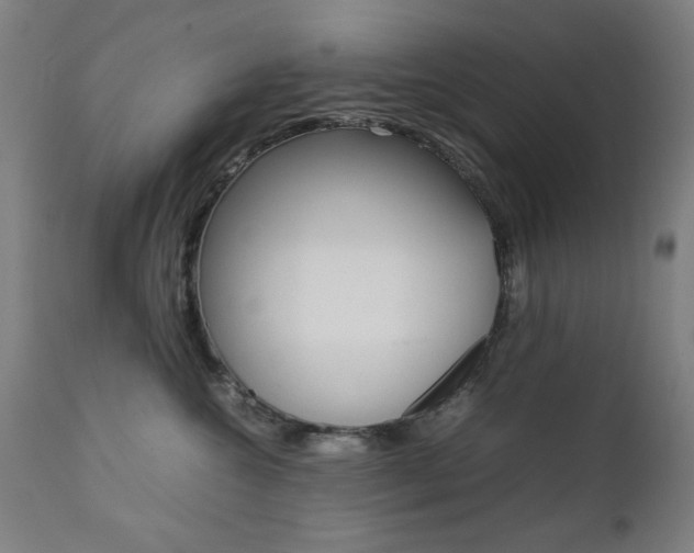 X0000112090572200908041051