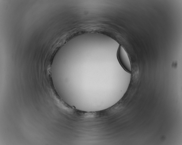 X0000112090574200908041051