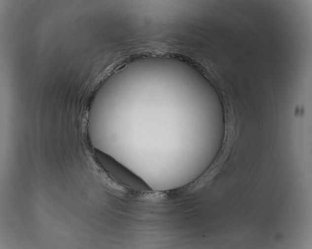 X0000112090576200908041051