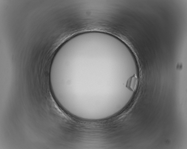 X0000112090577200908041050