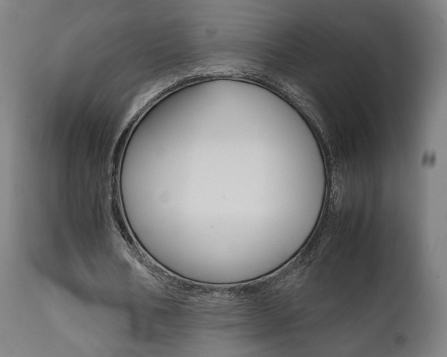 X0000112090578200908041050