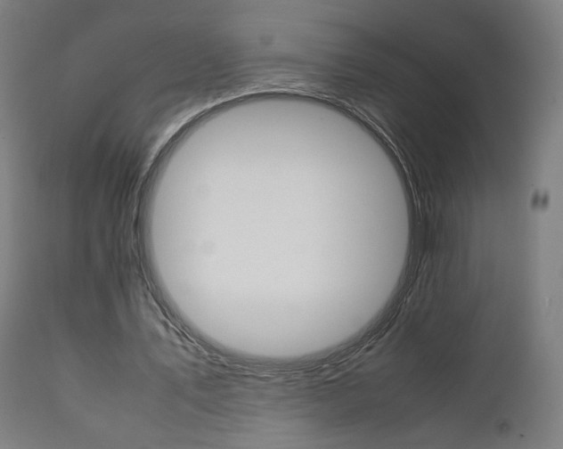 X0000112090579200908041050