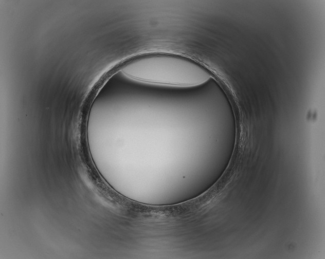 X0000112090580200908041050