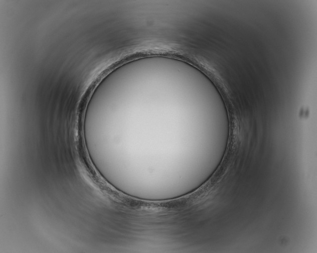 X0000112090582200908041050