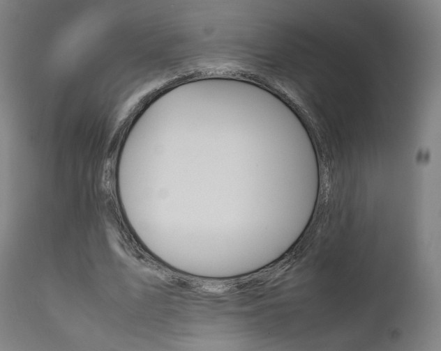 X0000112090583200908041050