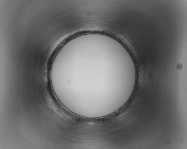 X0000112090584200908041050