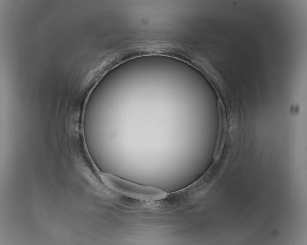 X0000112090585200908041050