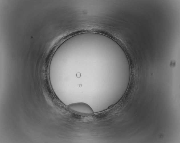X0000112090587200908041050