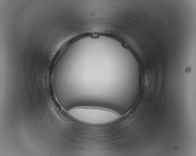 X0000112090588200908041050