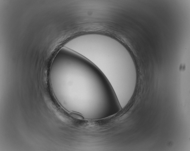 X0000112090589200908041050