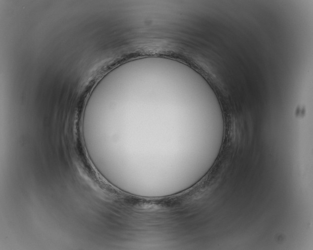 X0000112090590200908041050