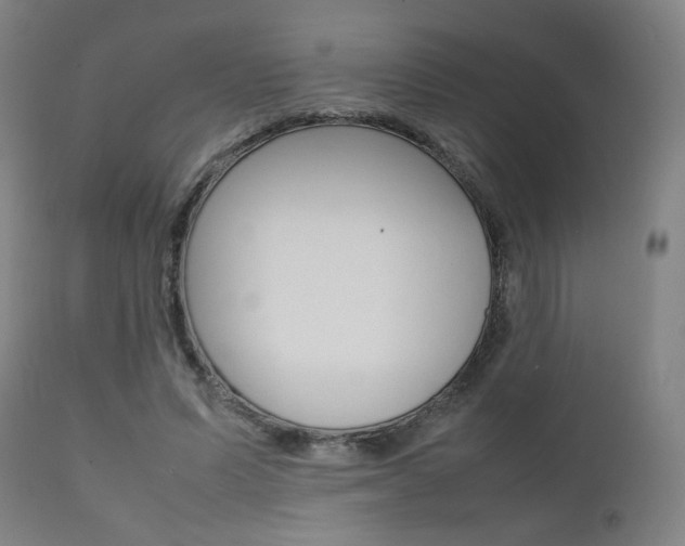 X0000112090591200908041050