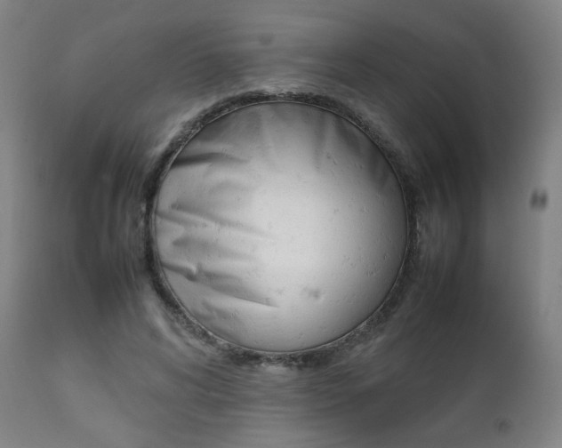 X0000112090592200908041050