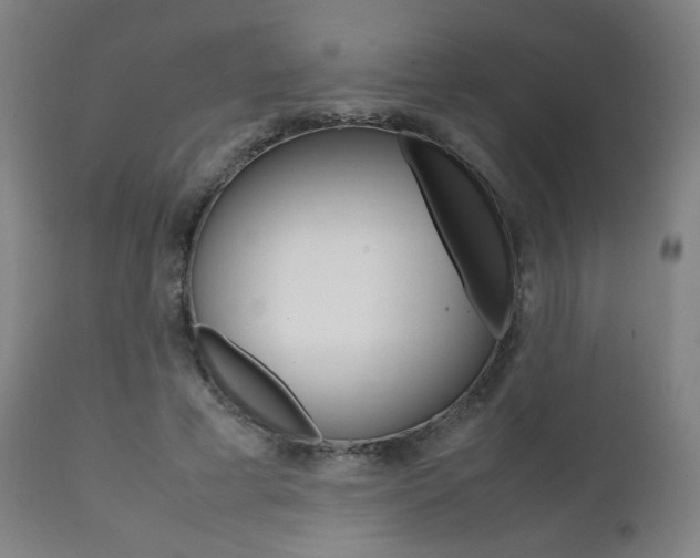 X0000112090593200908041050