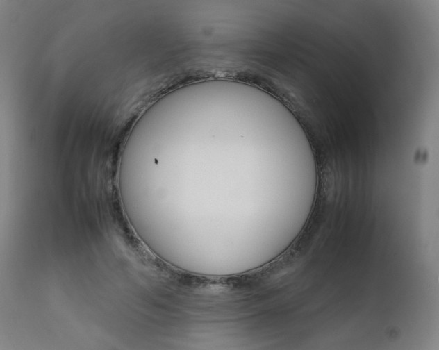 X0000112090594200908041050