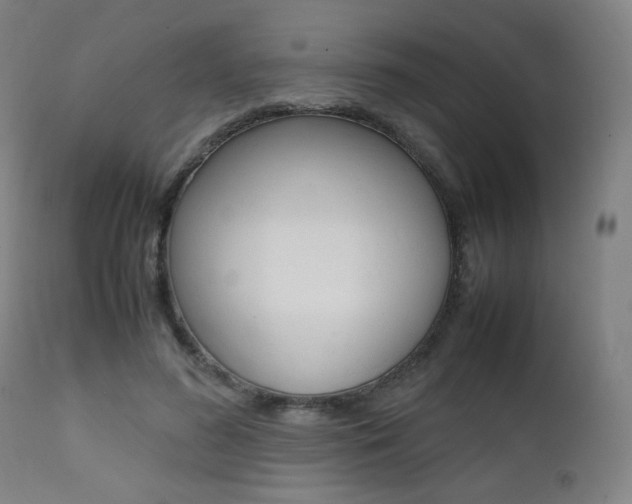 X0000112090596200908041050