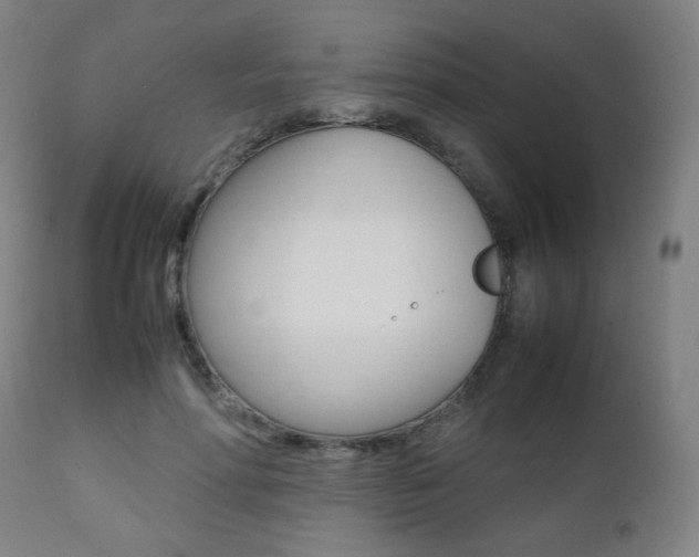 X0000112090598200908041050