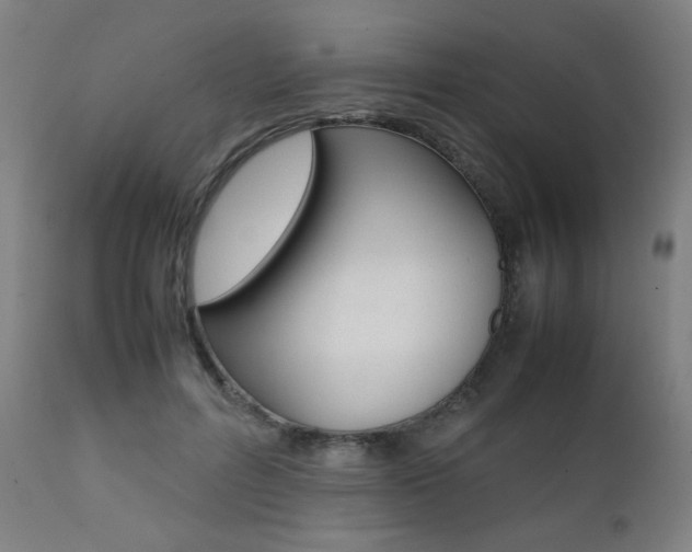 X0000112090600200908041050