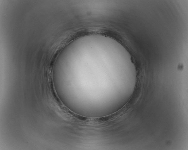 X0000112090601200908041050