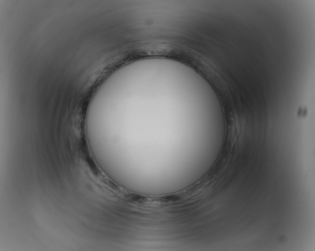 X0000112090604200908041050