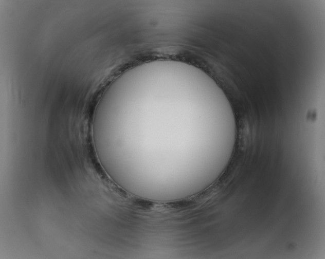 X0000112090608200908041050
