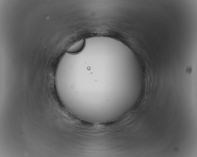 X0000112090609200908041050