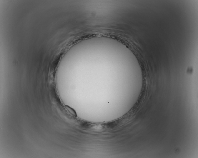 X0000112090611200908041049
