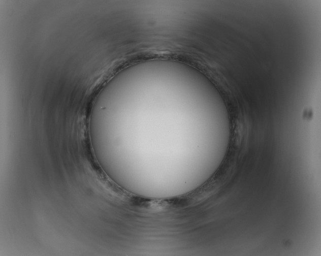 X0000112090612200908041049