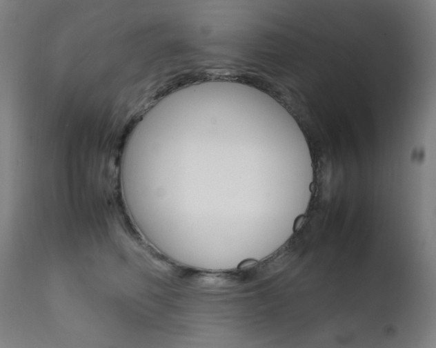 X0000112090614200908041049