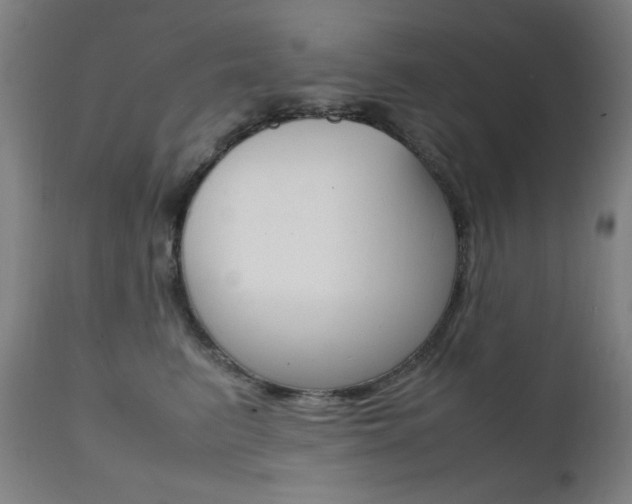 X0000112090615200908041049