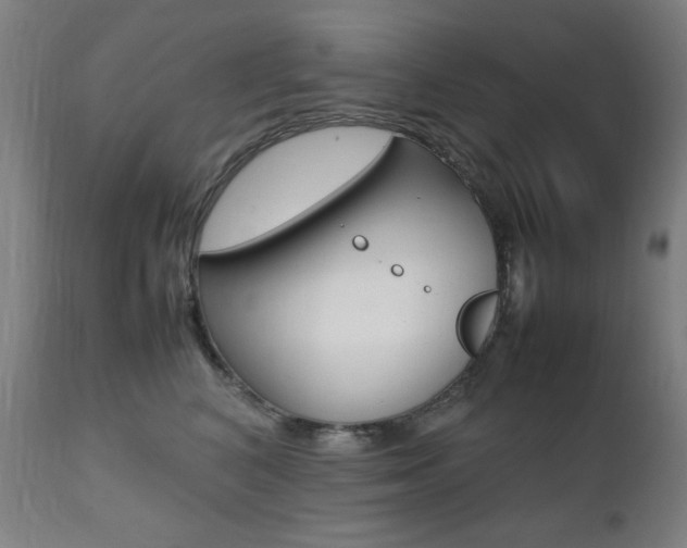X0000112090616200908041049